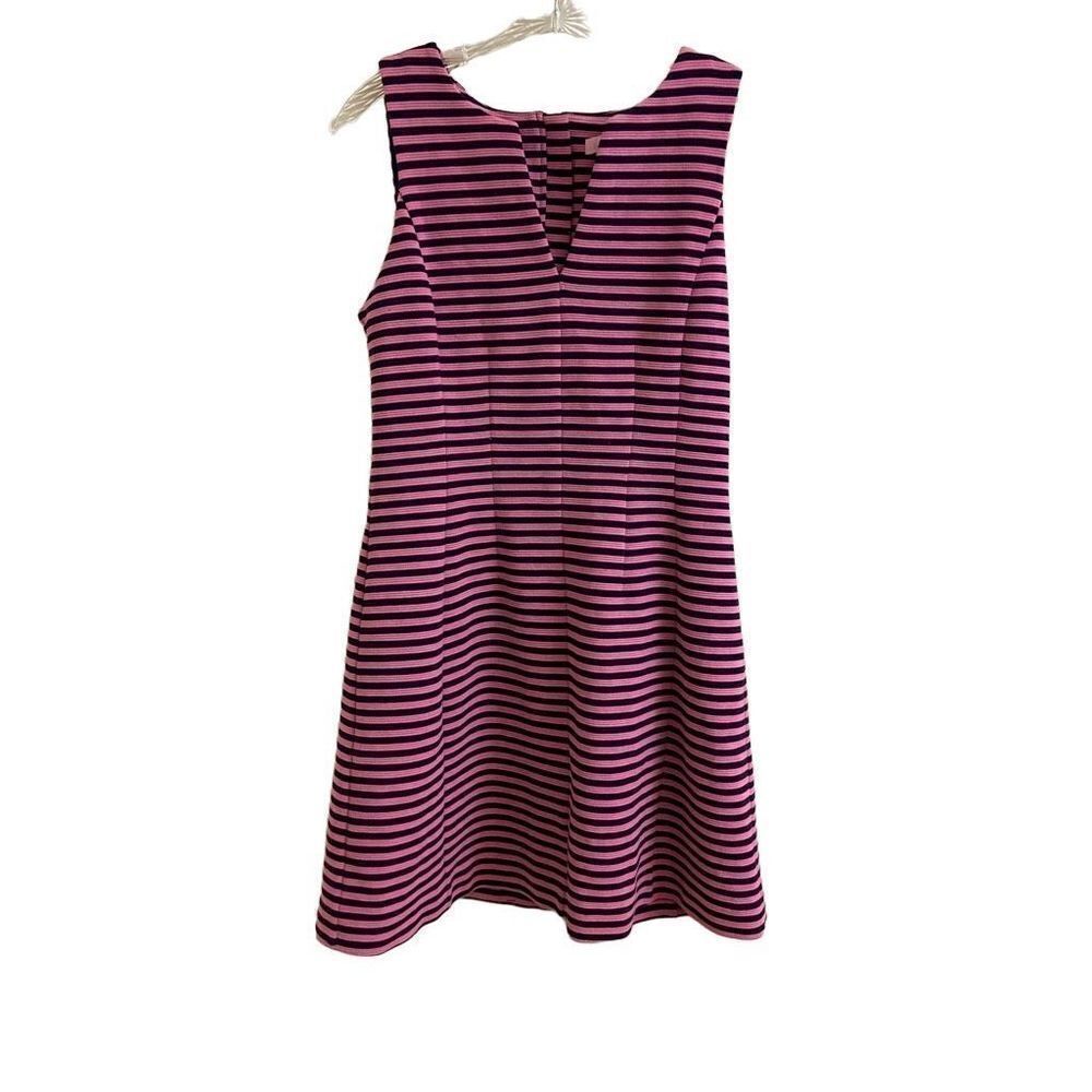 Lilly Pulitzer Brielle Fit & Flare Dress Pink and Navy Blue Stripes Medium